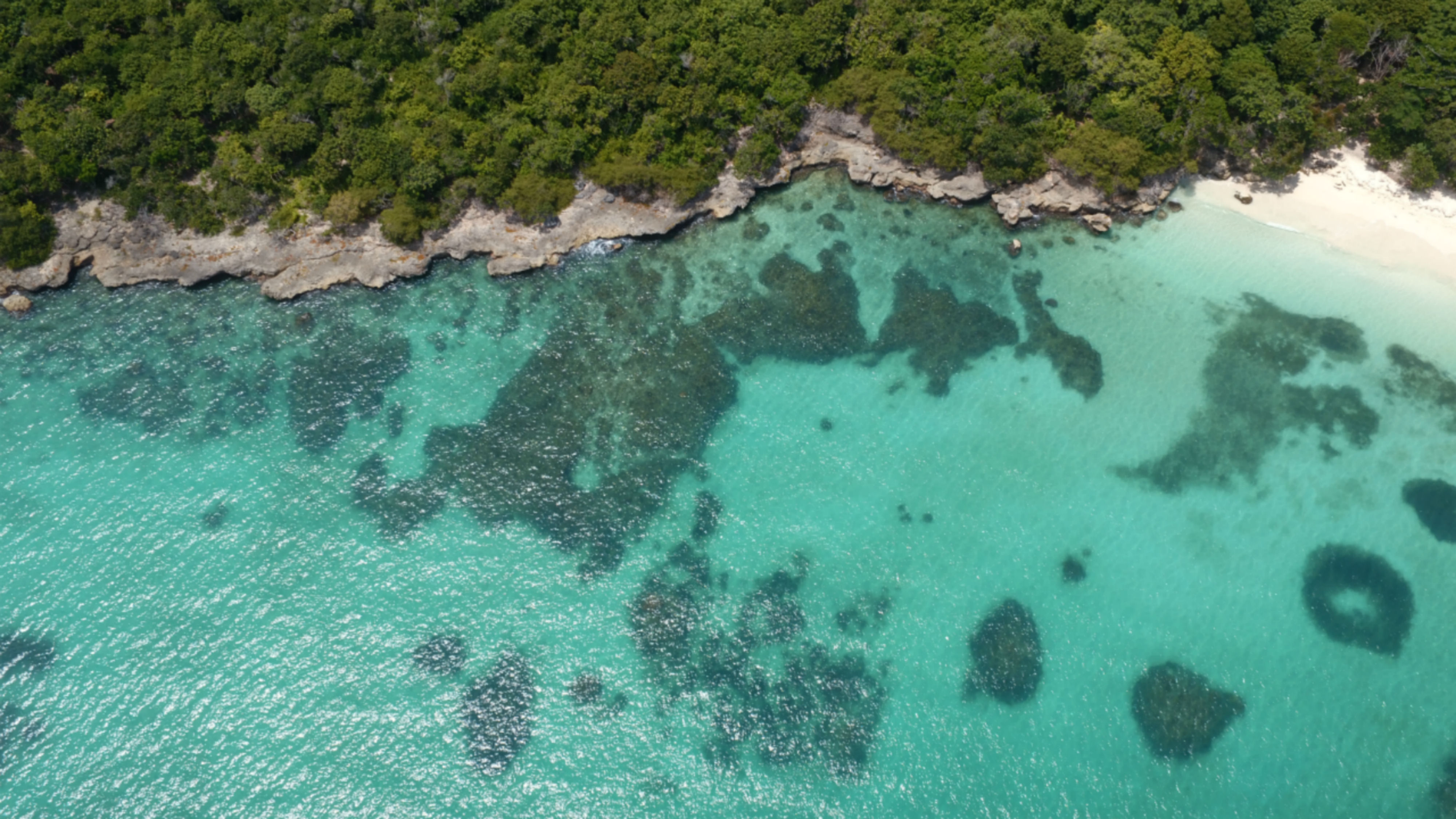 Anchoring at Barú’s Hidden Shore — Your Private Island Escape