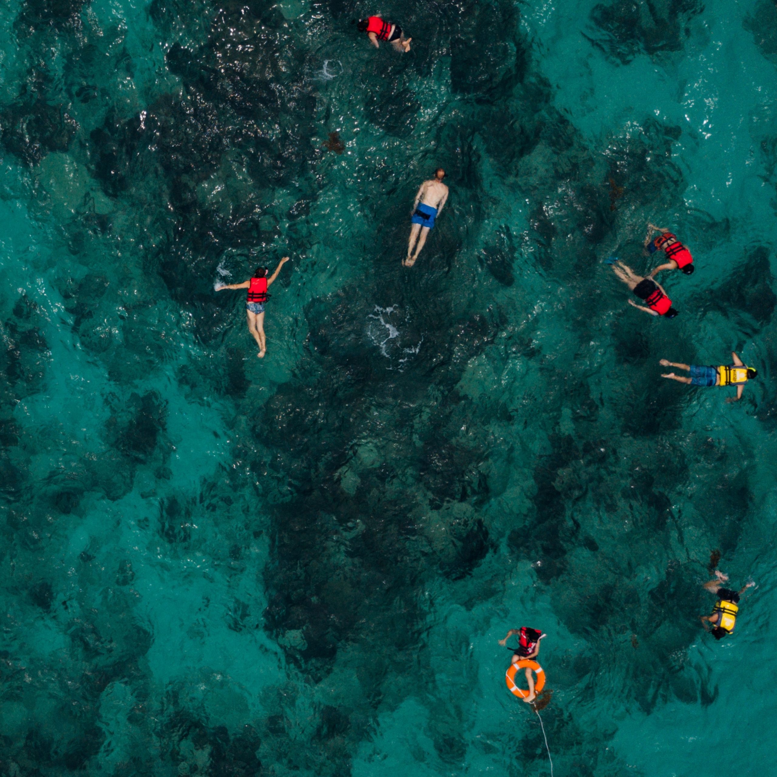 Snorkel with Company: Lively Reefs for Shared Moments